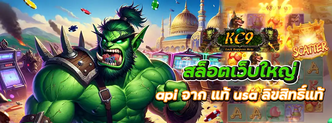 เว็บใหญ่ api จาก แท้ usa